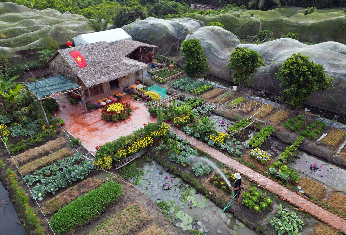 Co gai 25 tuoi dung khu vuon 1500m2 nhu co tich-Hinh-11