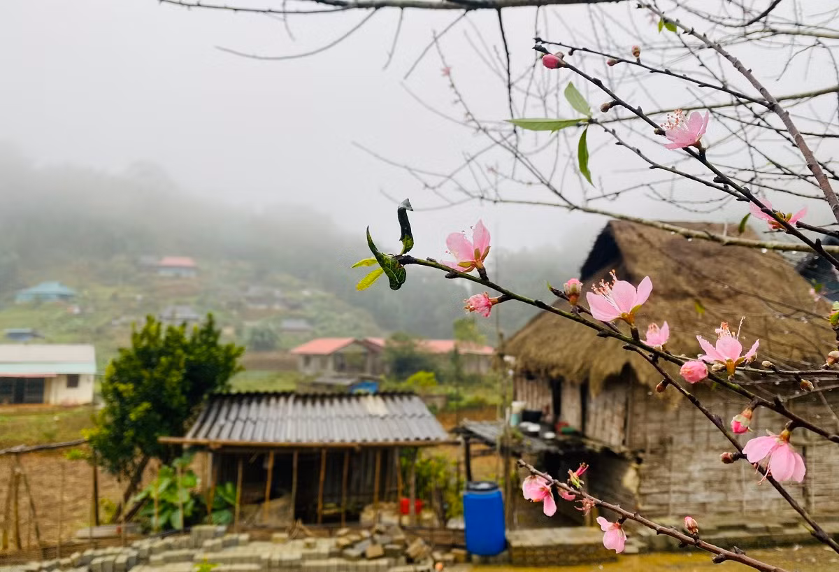 Ngam vuon dao rung khung o ban lang Thanh Hoa-Hinh-11