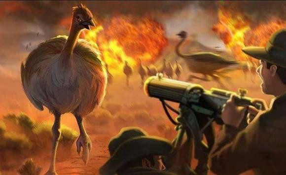 20.000 con chim khong lo can quet khap nuoc Uc-Hinh-6