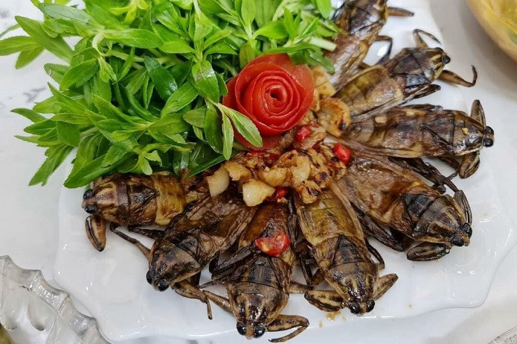 Nuoi con trung ban voi gia khung, 9x Ha Noi kiem nua ty dong