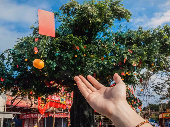 Cay nguyen uoc o ngoi lang 700 tuoi hut khach den cau nguyen-Hinh-4