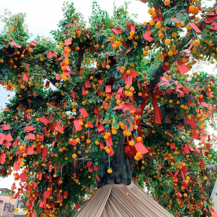 Cay nguyen uoc o ngoi lang 700 tuoi hut khach den cau nguyen-Hinh-11