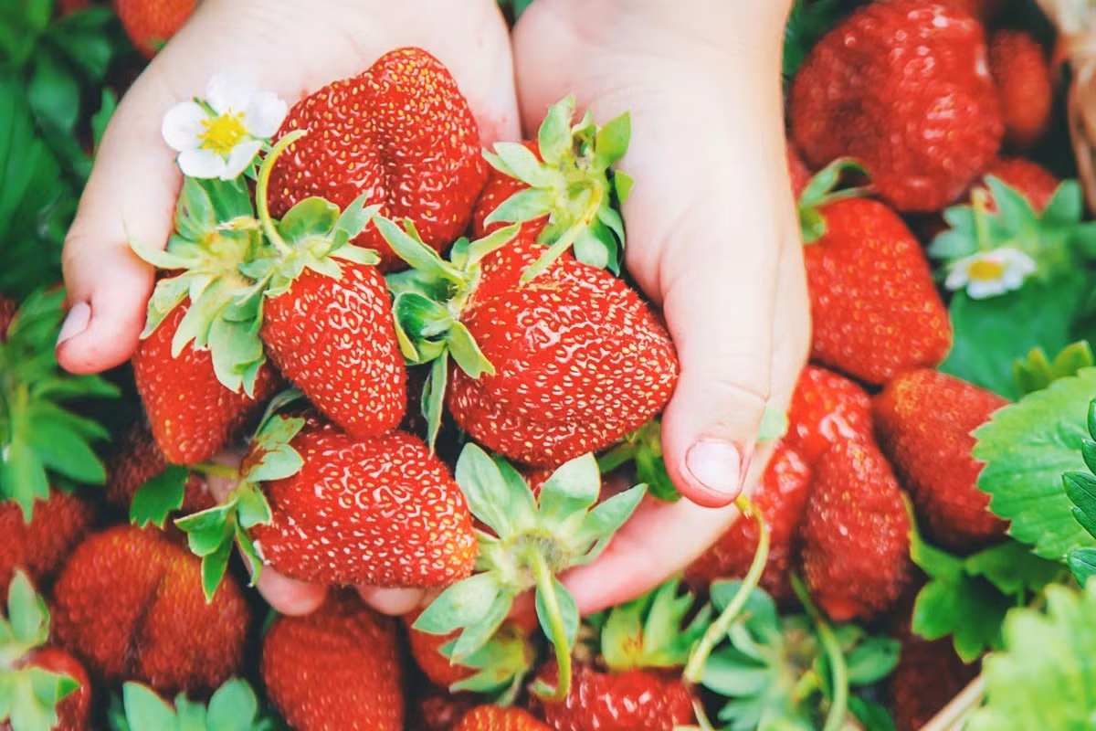 Hoc cach song hanh phuc cua cac quoc gia tren the gioi-Hinh-5