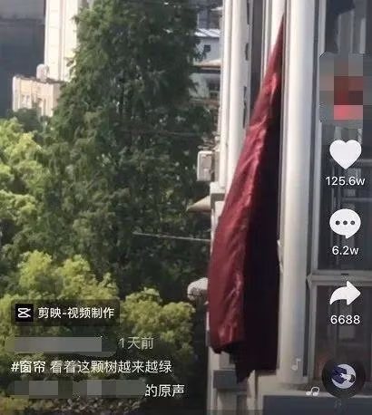 Ven man bi mat Chiec rem do bay phap phoi hon 1 thang o Vu Han-Hinh-3