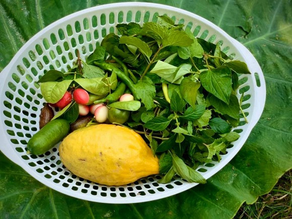 Ca si My Le he lo cach tich tru do an ca thang-Hinh-6