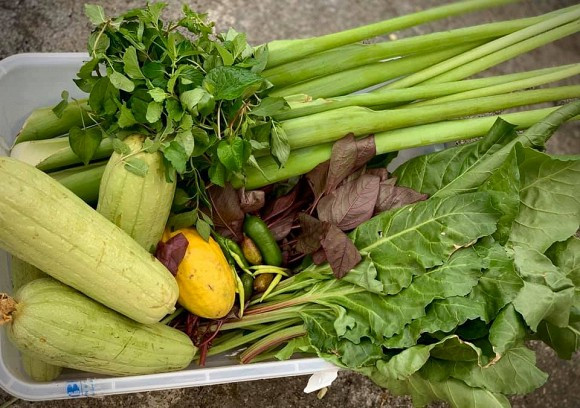 Ca si My Le he lo cach tich tru do an ca thang-Hinh-5