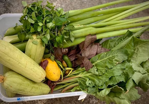 Ca si My Le he lo cach tich tru do an ca thang-Hinh-5