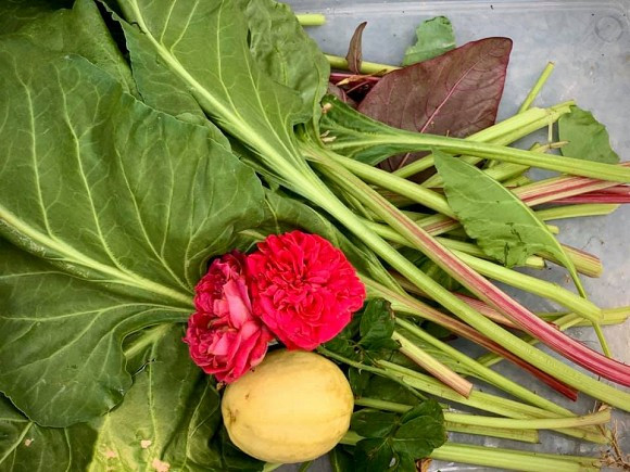 Ca si My Le he lo cach tich tru do an ca thang-Hinh-3