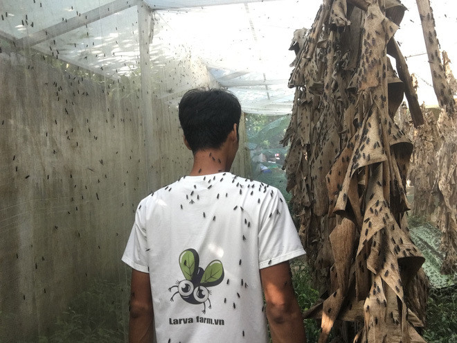 'Chan vit, thit ga, da trau, dau ran', chim 'sieu to khong lo'-Hinh-6