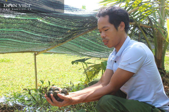 'Chan vit, thit ga, da trau, dau ran', chim 'sieu to khong lo'-Hinh-4