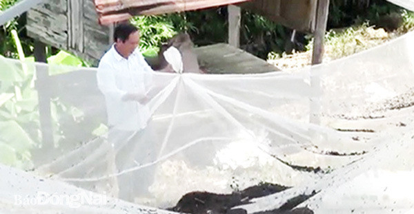 Lam chuong nuoi doi hung phan ban-Hinh-2