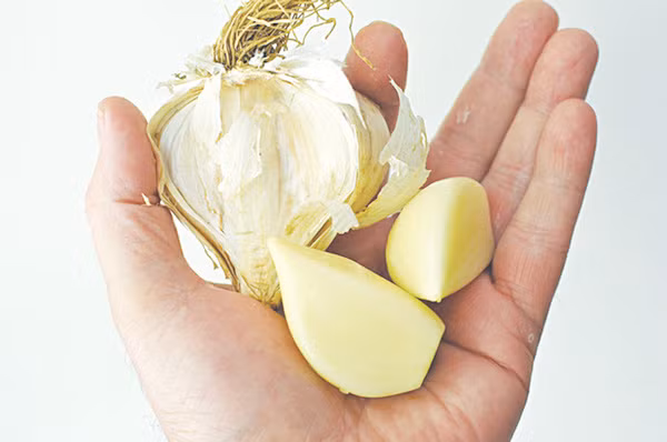 7 thực phẩm không nên cất tủ lạnh kẻo sinh độc 7 thuc pham khong nen cat tu lanh keo sinh doc