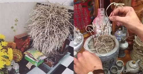 Cuoi nam don lai ban tho nho lam nhung viec nay