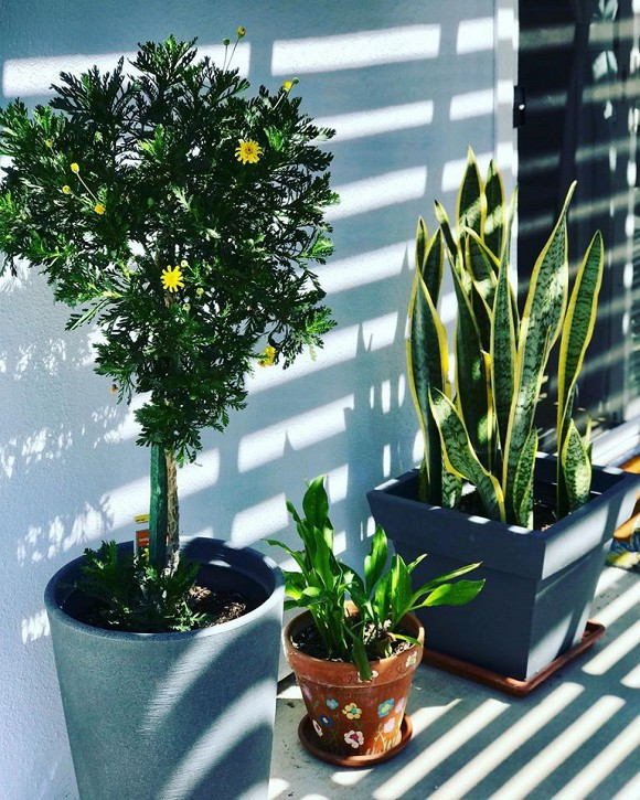 Cuoc song cua Diva Ha Tran ra sao khi sang My dinh cu?-Hinh-16