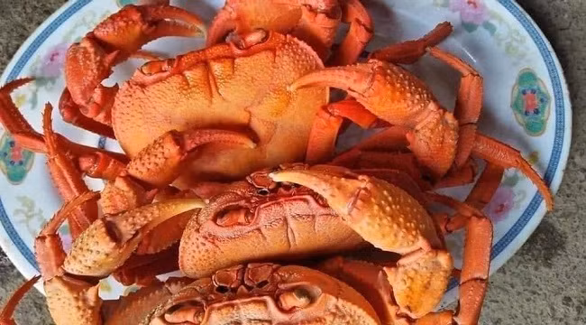 Dac san nui 'ngon hon cua bien, re hon cua dong', dan buon hot bac-Hinh-5