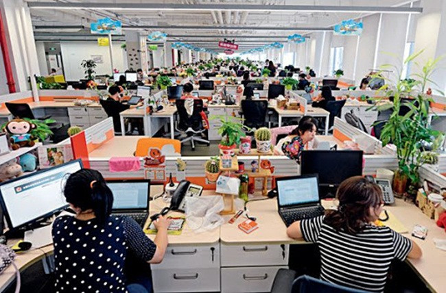 Nguoi dan ong bong dung co nui tien vao tui, kiem nghin ty 1 ngay-Hinh-4