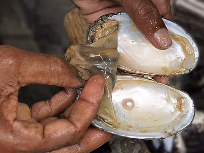 Nha thu be teo ma ban 'hot bac', nhieu nguoi 'om' tien ty-Hinh-8