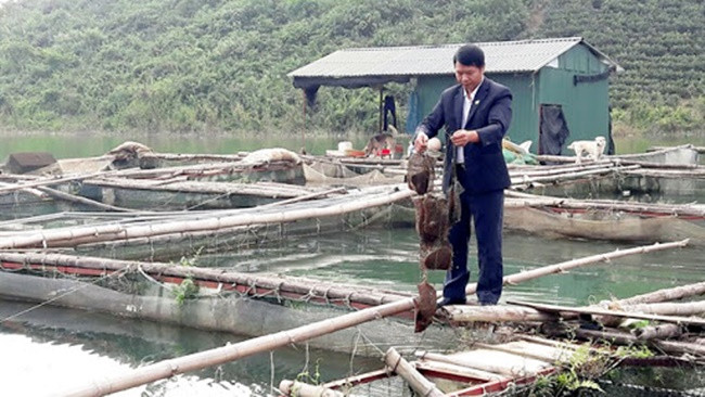 Nhả thứ bé tẹo mà bán 'hốt bạc', nhiều người 'ôm' tiền tỷ - Hình 9 Nha thu be teo ma ban 'hot bac', nhieu nguoi 'om' tien ty-Hinh-9