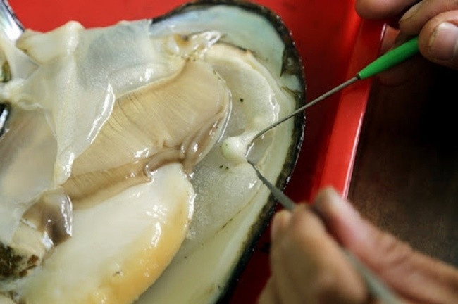 Nhả thứ bé tẹo mà bán 'hốt bạc', nhiều người 'ôm' tiền tỷ - Hình 4 Nha thu be teo ma ban 'hot bac', nhieu nguoi 'om' tien ty-Hinh-4