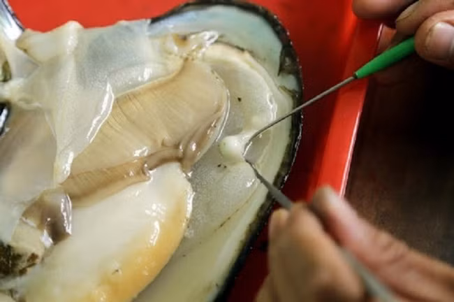 Nha thu be teo ma ban 'hot bac', nhieu nguoi 'om' tien ty-Hinh-4