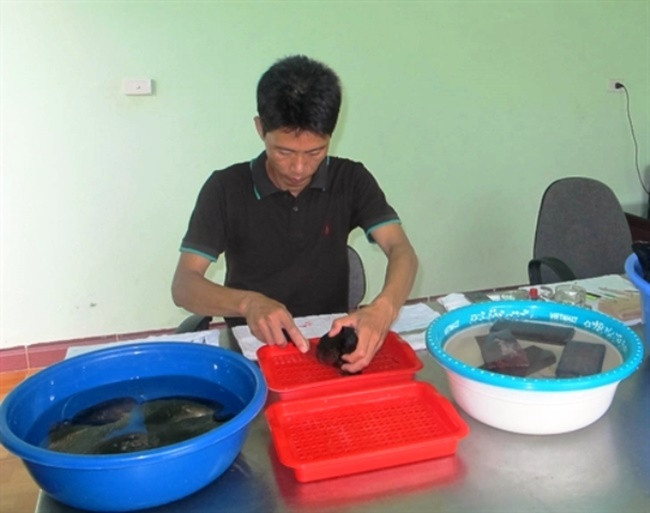 Nhả thứ bé tẹo mà bán 'hốt bạc', nhiều người 'ôm' tiền tỷ Nha thu be teo ma ban 'hot bac', nhieu nguoi 'om' tien ty