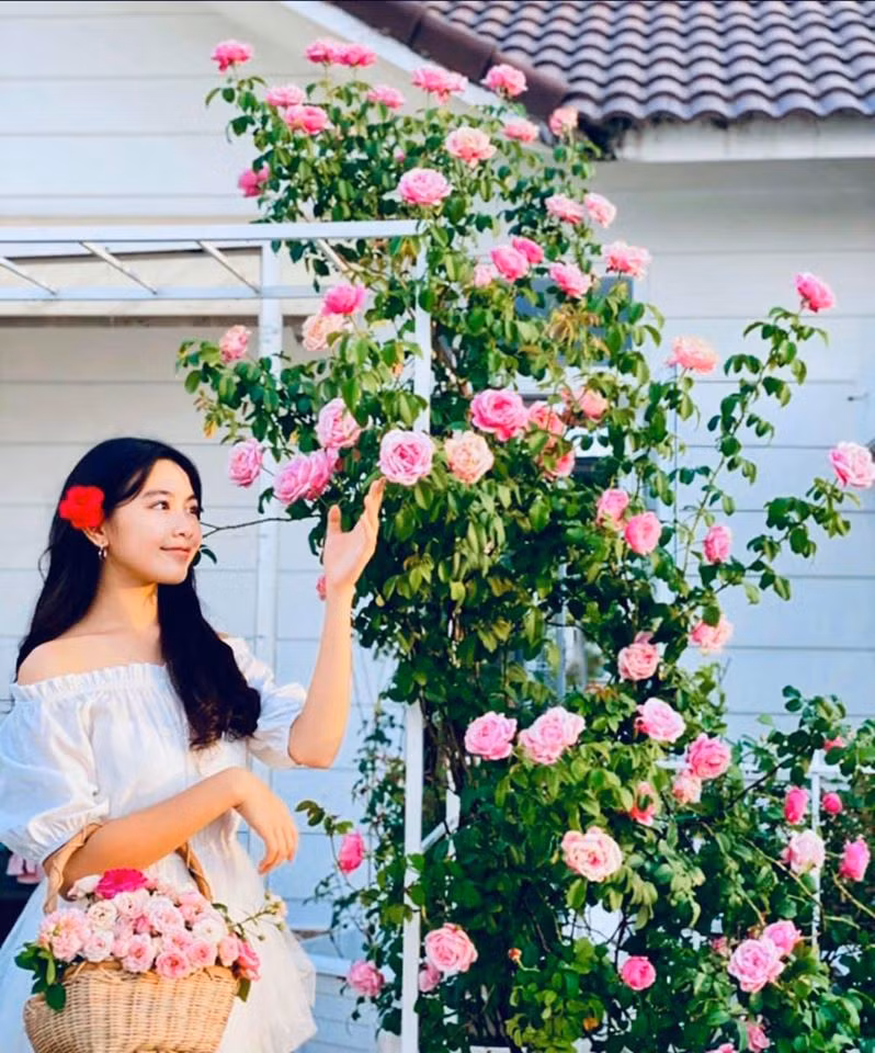 Con gái MC Quyền Linh bên những khóm hoa do gia đình cùng chăm sóc.