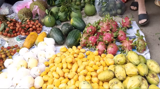 Hon 700 tan xoai mini Trung Quoc do bo cho Sai Gon-Hinh-2