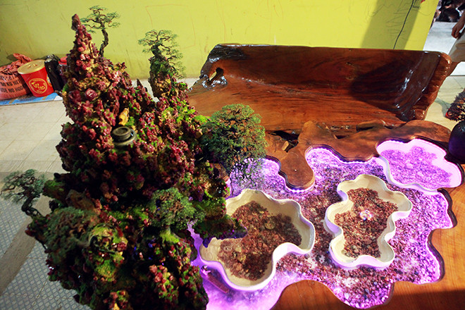 Chiec ban gan hang nghin vien da quy, doc dao nhat Viet Nam-Hinh-10