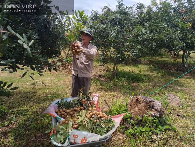 Moi ha nhan nong dan that thu '1 con xe may'