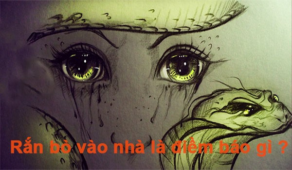 Những giấc mơ về rắn mang tới tin vui trong công việc và tiền bạc - Hình 2 Nhung giac mo ve ran mang toi tin vui trong cong viec va tien bac-Hinh-2