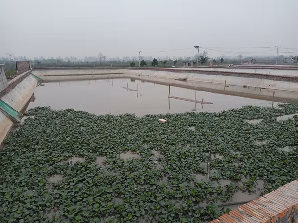 Vua lam vua choi van thu loi nhuan khung nho nuoi con vat nay-Hinh-3