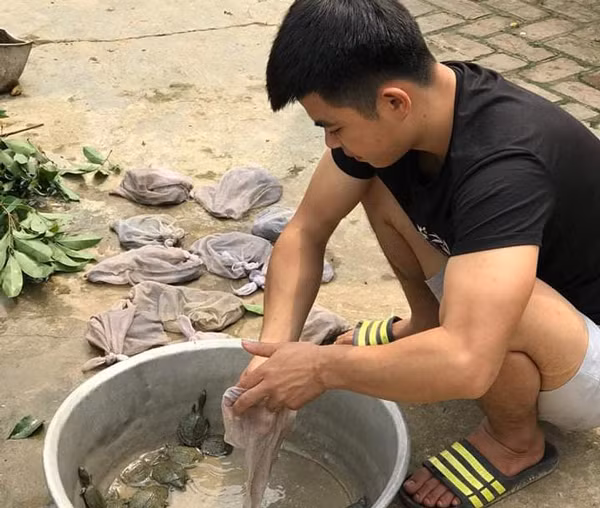 Vua lam vua choi van thu loi nhuan khung nho nuoi con vat nay