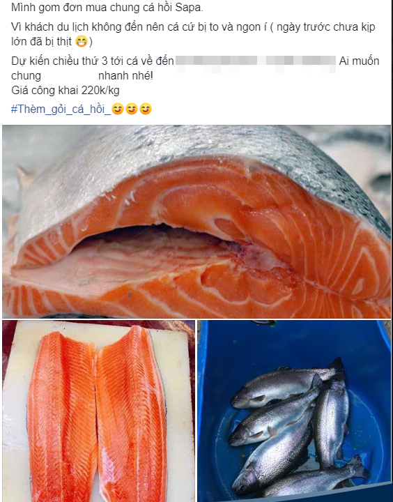 Ca hoi Sapa gia re, om so luong nhieu ban online kiem ca trieu/ngay-Hinh-4