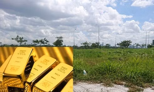 Co gai doc than co 1 ty, nen dau tu mua vang hay mua nha?