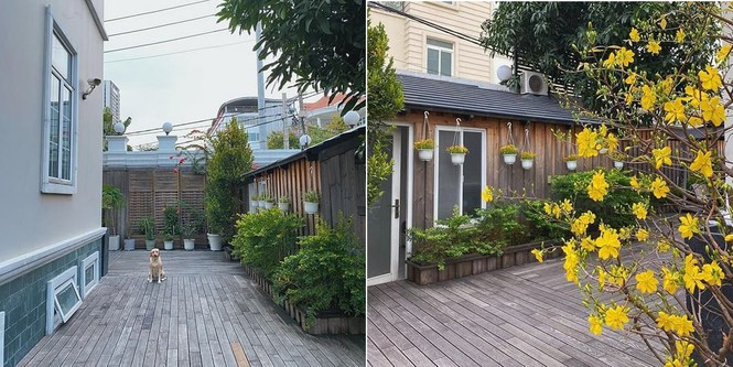 Biet su sieu sang trong cua vo chong Tang Thanh Ha-Hinh-2