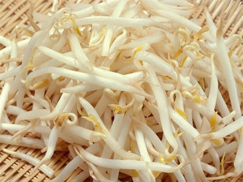 Bật mí tuyệt chiêu giảm cân bằng giá đỗ cực hiệu quả Bat mi tuyet chieu giam can bang gia do cuc hieu qua