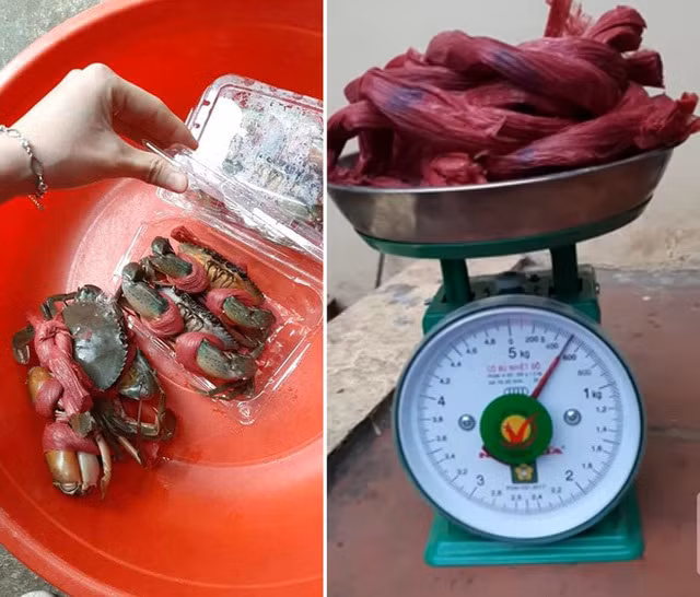 Buc minh, mua 1,8 kg cua bien, go mat 5 lang day buoc