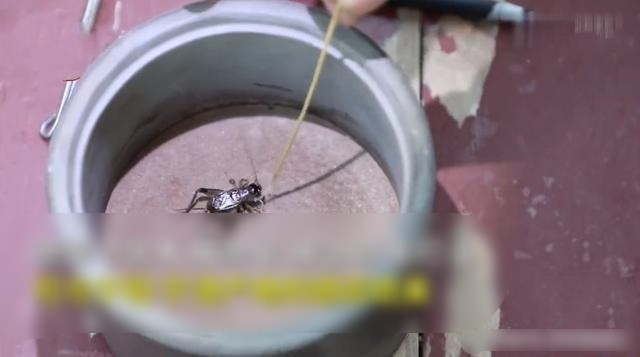 Bien thu gia '0 dong' thanh 'mieng vang biet di'-Hinh-3