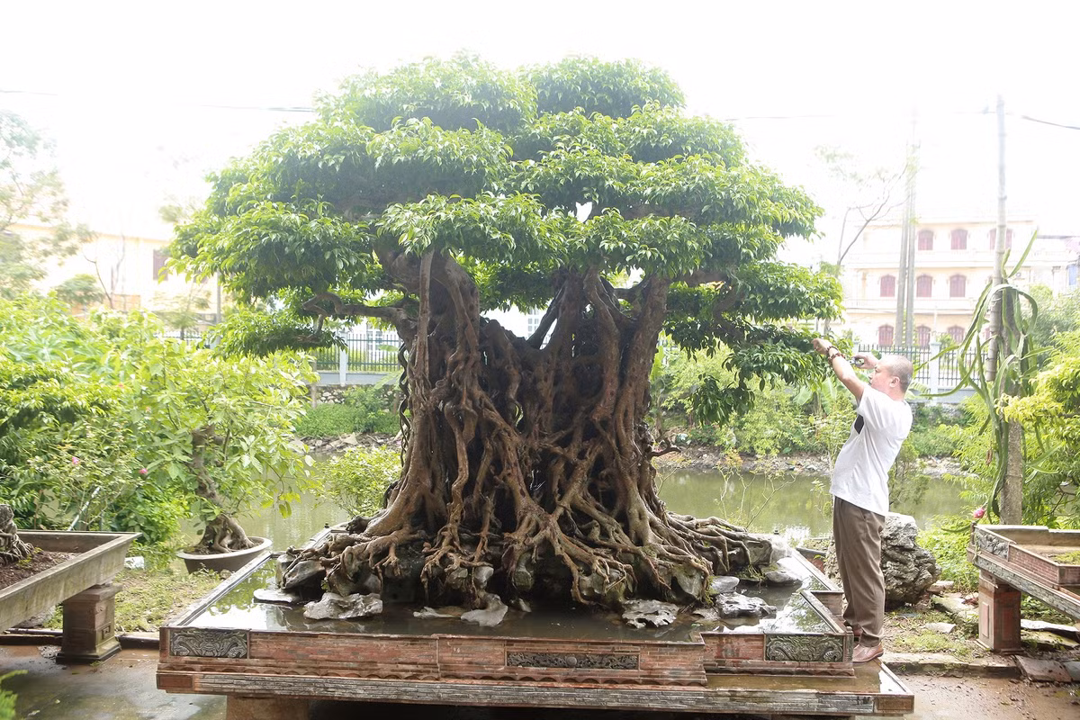 Loai con trung chi song vai tieng, dac san tru danh tren song Hong-Hinh-4