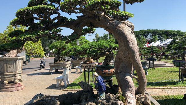 Loai con trung chi song vai tieng, dac san tru danh tren song Hong-Hinh-3