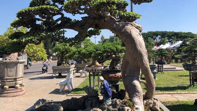 Loai con trung chi song vai tieng, dac san tru danh tren song Hong-Hinh-3