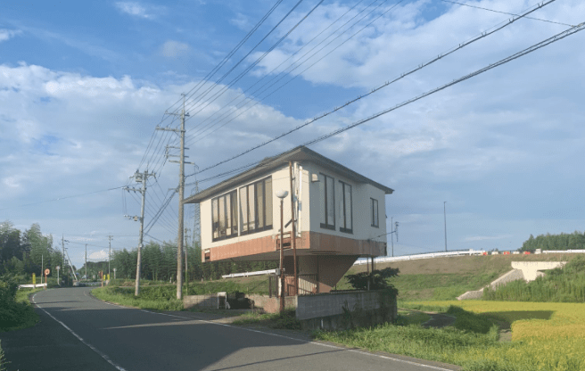 Thuc hu ngoi nha hinh nam sieu di, noi dinh noi dam tren mang