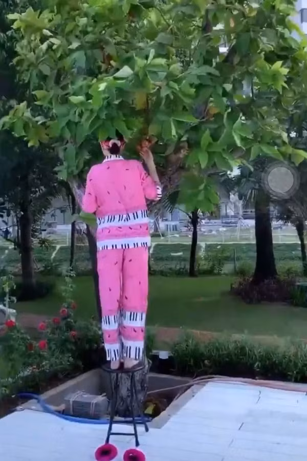 Ngoc Trinh vat veo treo cay hai man-Hinh-4