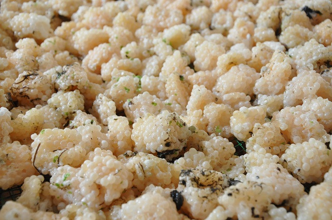 Nuoi con hiem co kho tim, lao nong thu ve nua ty dong moi nam-Hinh-4