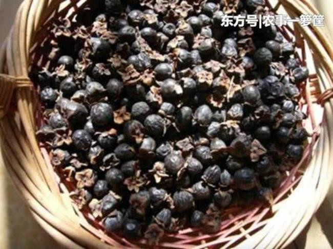 Loai qua la co ten khong hap dan nhung gia vai tram nghin/kg-Hinh-4