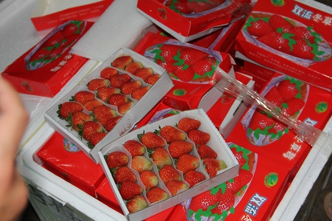 3,5 tan dau nghi cua Trung Quoc 'bay' vao Da Lat-Hinh-4