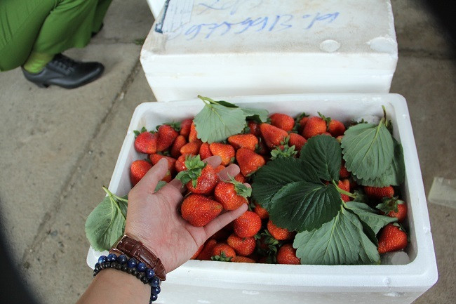 3,5 tan dau nghi cua Trung Quoc 'bay' vao Da Lat-Hinh-5