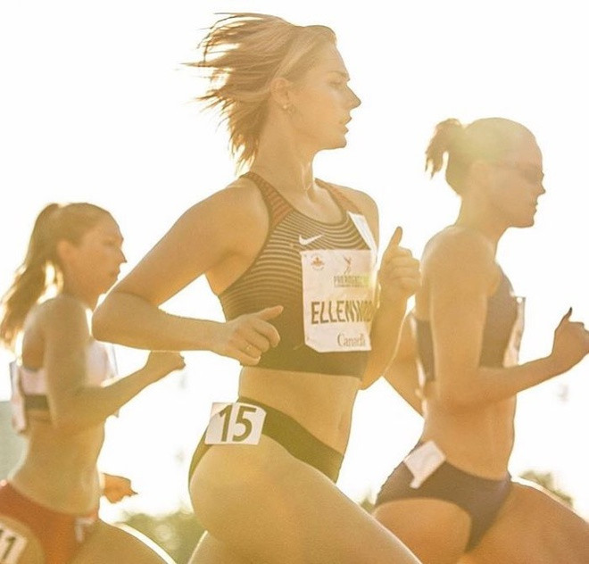 Bong hong cua lang dien kinh-Hinh-3