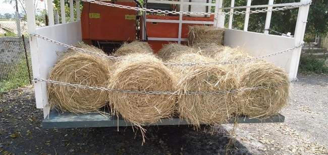 Nong dan vut day dong, thanh nien thu ve tien trieu moi ngay-Hinh-5