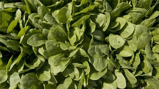 Chuyen gia khuyen phu nu nen an nhieu nhung thu nay-Hinh-3